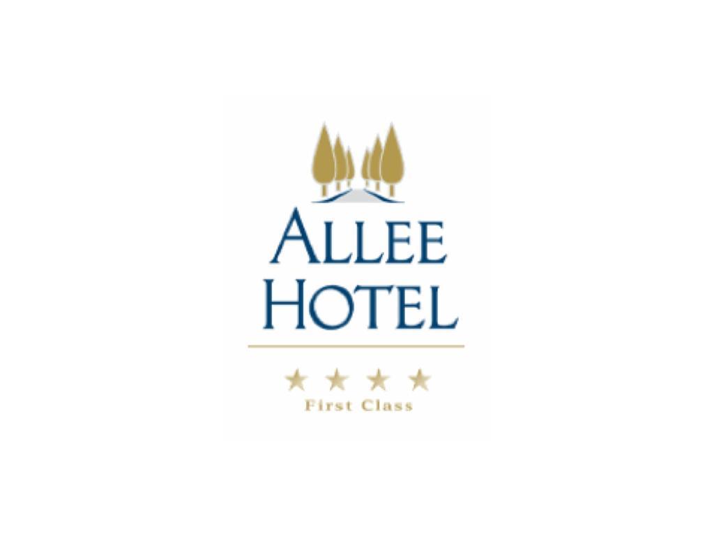 Allee Hotel Neustadt an der Aisch Exterior foto